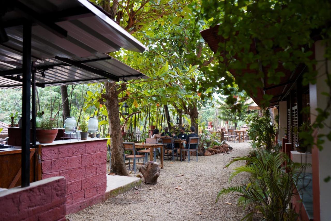 Terraria Stay And Cafe Canacona Extérieur photo